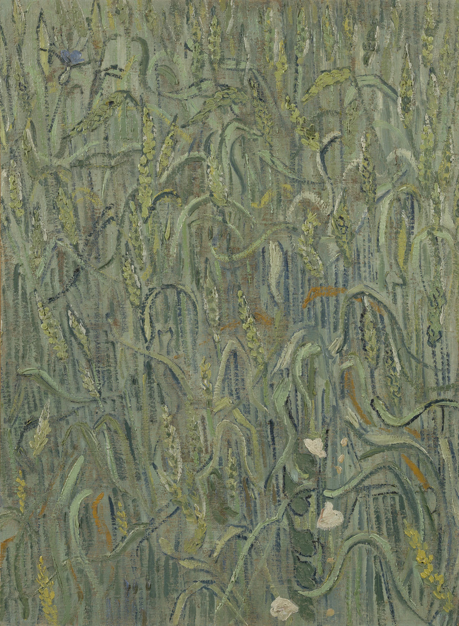 Vetespikar - Vincent van Gogh