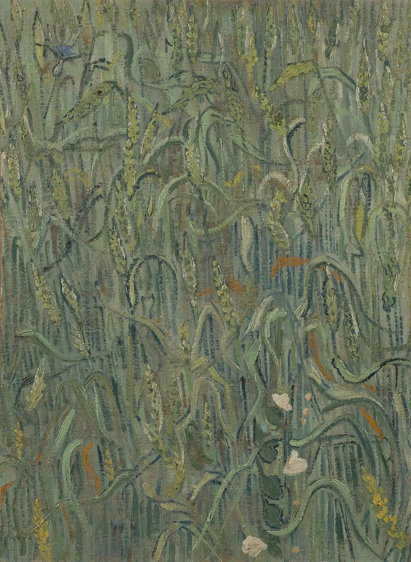 Vetespikar - Vincent van Gogh