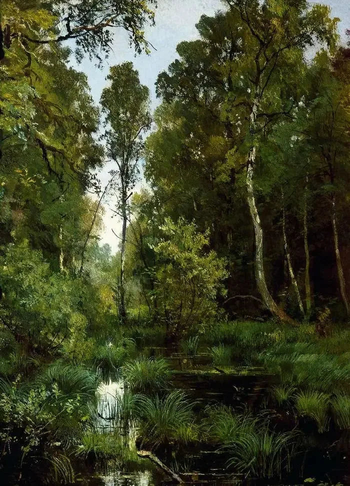 En damm som är övervuxen av växtlighet vid skogsbrynet. Siverskaya - Ivan Chichkine