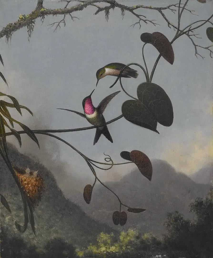 Amethystträdet - Martin Johnson Heade