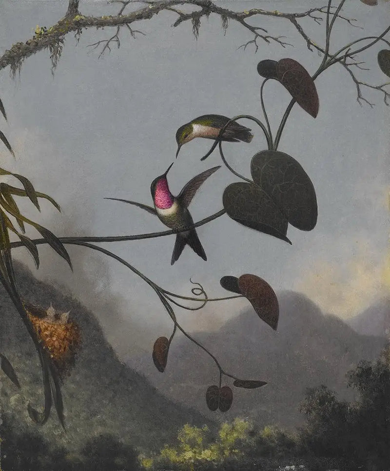 Amethystträdet - Martin Johnson Heade