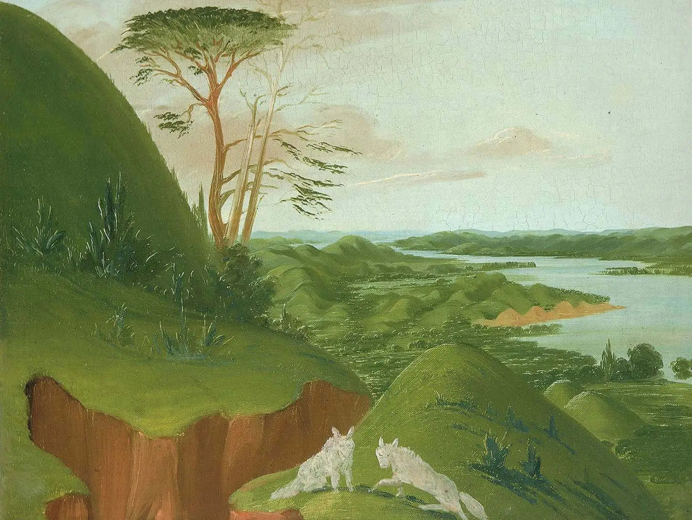 Falaises fluviales avec des loups blancs au premier plan Haut-Missouri - George Catlin - Alpha Reproduction