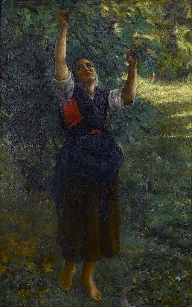Flicka som plockar fikon - Jules Breton