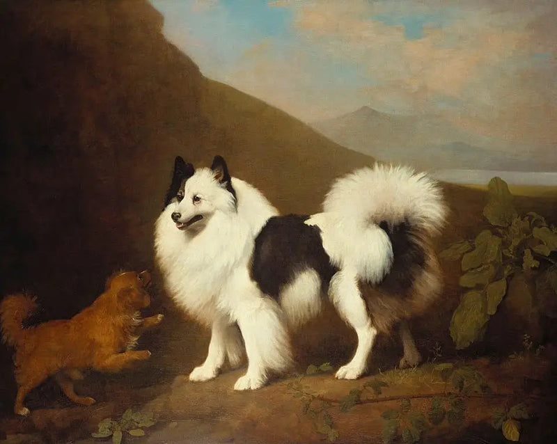 Fino och Tiny - George Stubbs