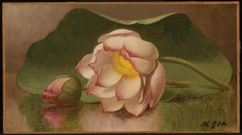 Lotusblomma - Martin Johnson Heade
