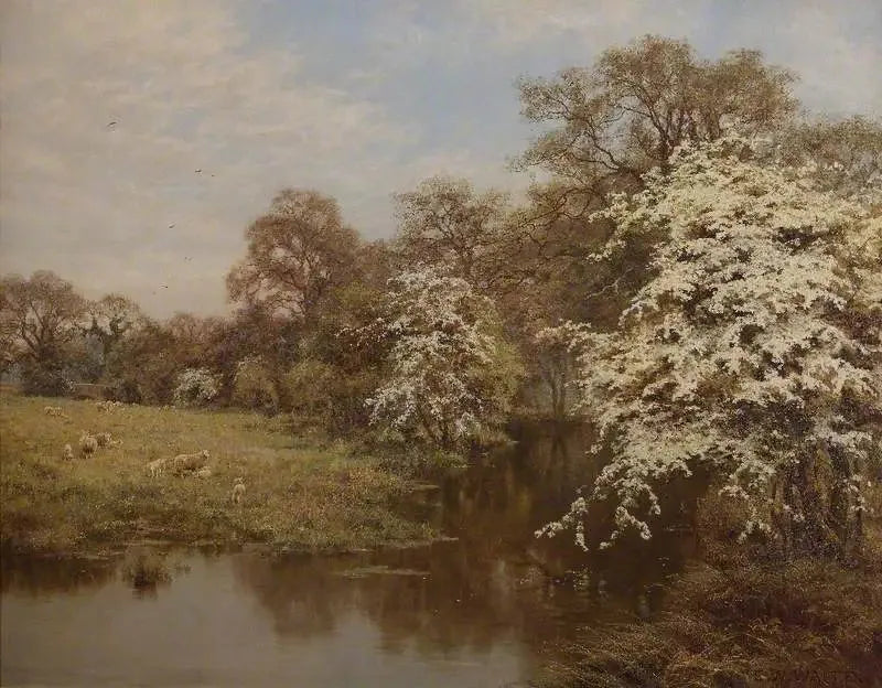 Hagtornblommor - Edward Wilkins Waite