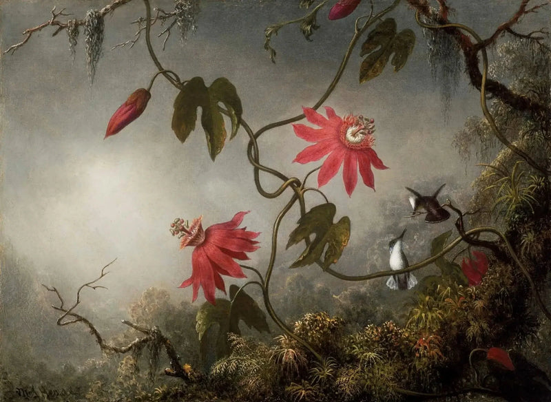 Passionblommor och Kolibris - Martin Johnson Heade