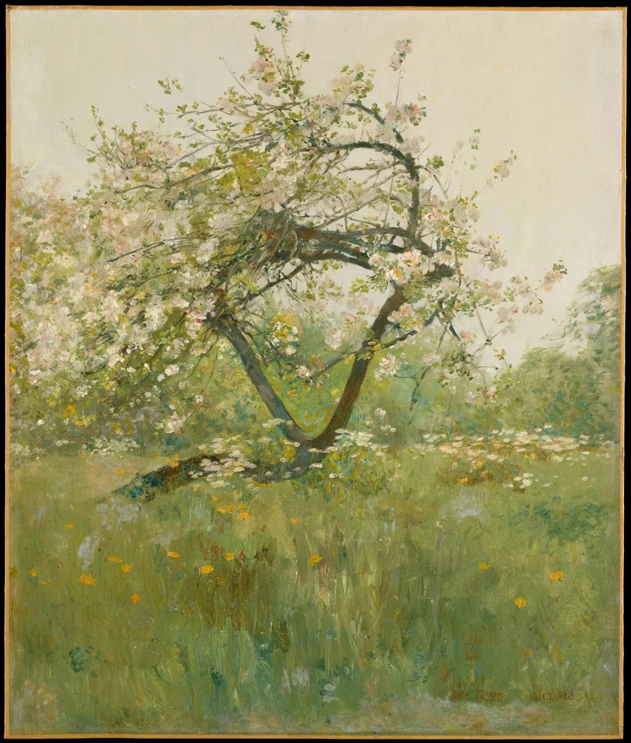 Persikblommor — Villiers-le-Bel - Childe Hassam