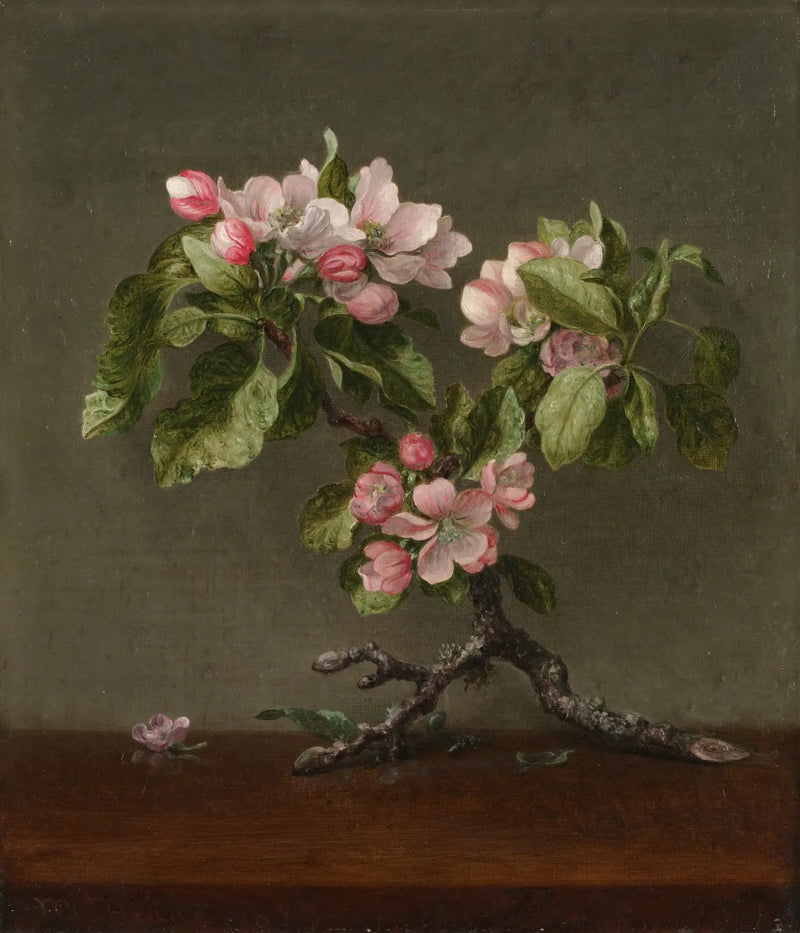 Äppelblommor - Martin Johnson Heade