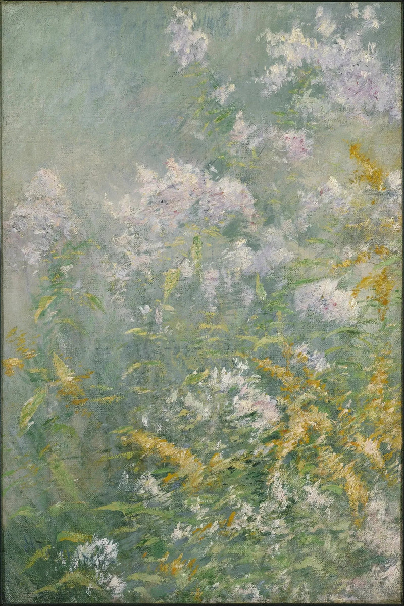Blommor på ängen (Guldfibbla och Vildaster) - John Henry Twachtman