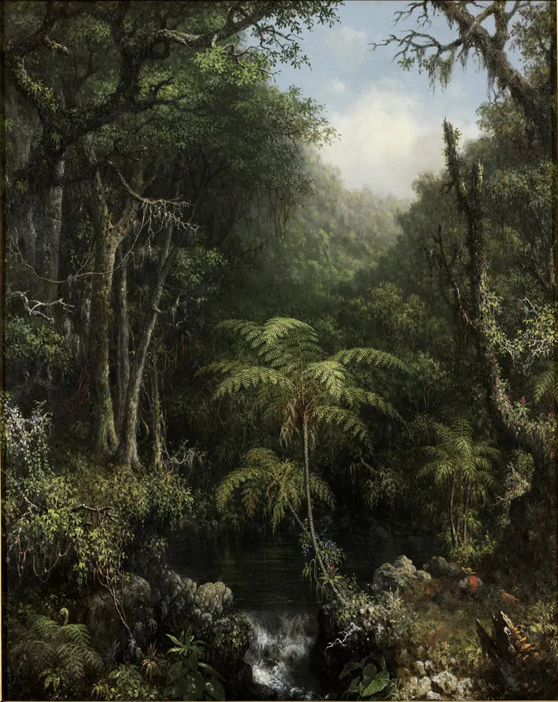 Brasiliansk skog - Martin Johnson Heade