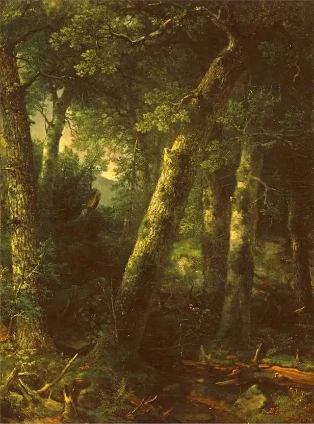 Skog i morgonljuset - Asher Brown Durand