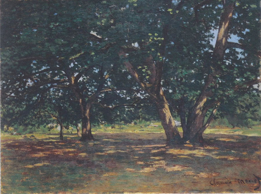 Fontainebleau-skogen - Claude Monet