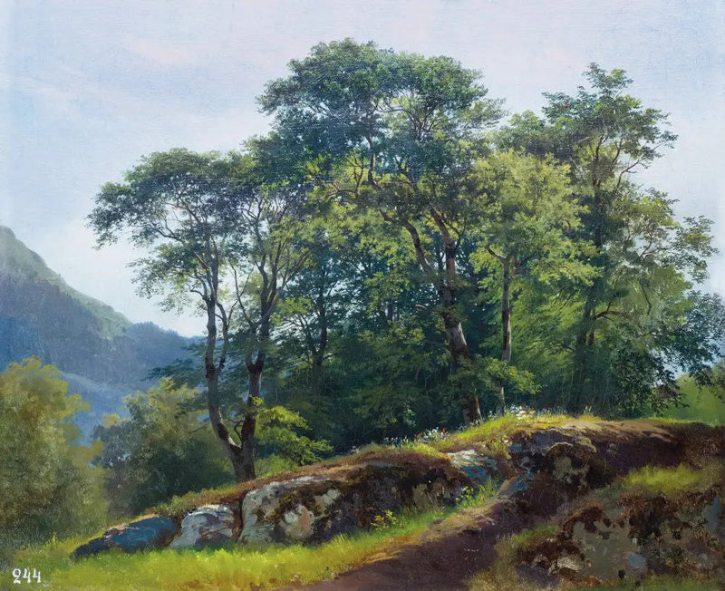 Björkskog i Schweiz - Ivan Chichkine