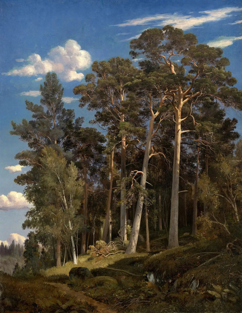 Tallskog - Ivan Chichkine