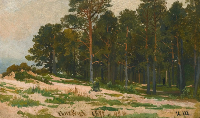 Tallskog - Ivan Chichkine