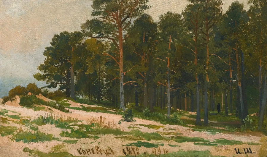 Tallskog - Ivan Chichkine