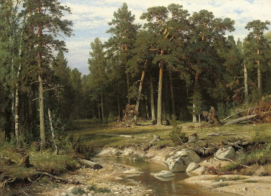 Tallskog av tallar i provinsen Viatka - Ivan Chichkine