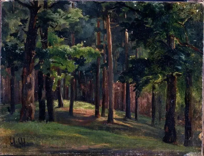 Skog - Ivan Chichkine