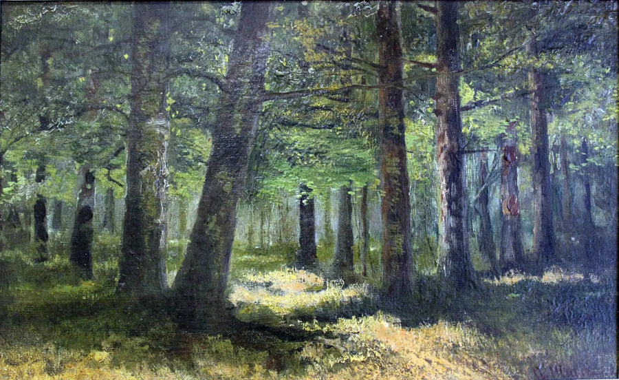 Skog - Ivan Chichkine