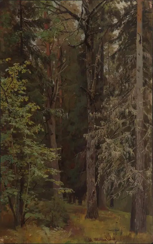 Blandad skog - Ivan Chichkine