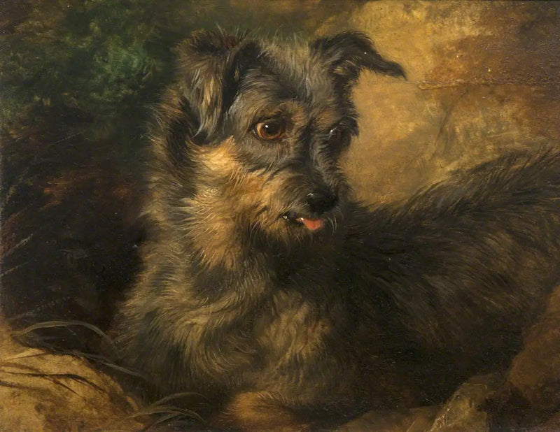 Ginger - Edwin Henry Landseer