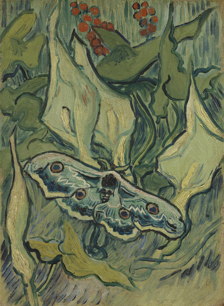 Stora nattfjärilen - Vincent van Gogh