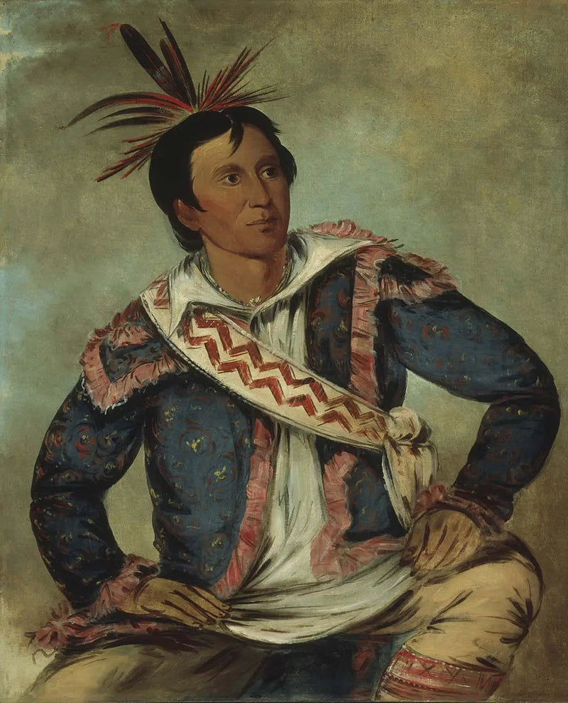 Há-tchoo-túc-knee, ormsköldpadda, en metis - George Catlin