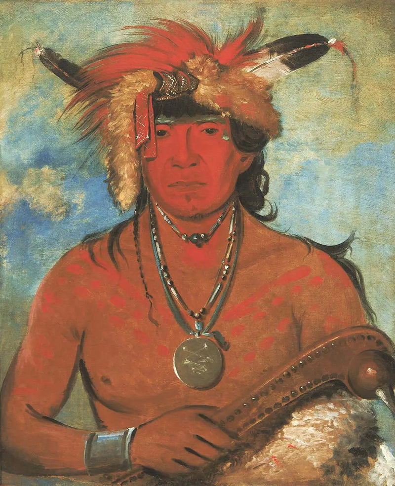 Háh-je-day-ah'-shee, Möte med fåglarna, en modig - George Catlin