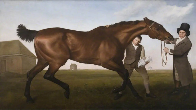 Hambletonian, frotté - George Stubbs