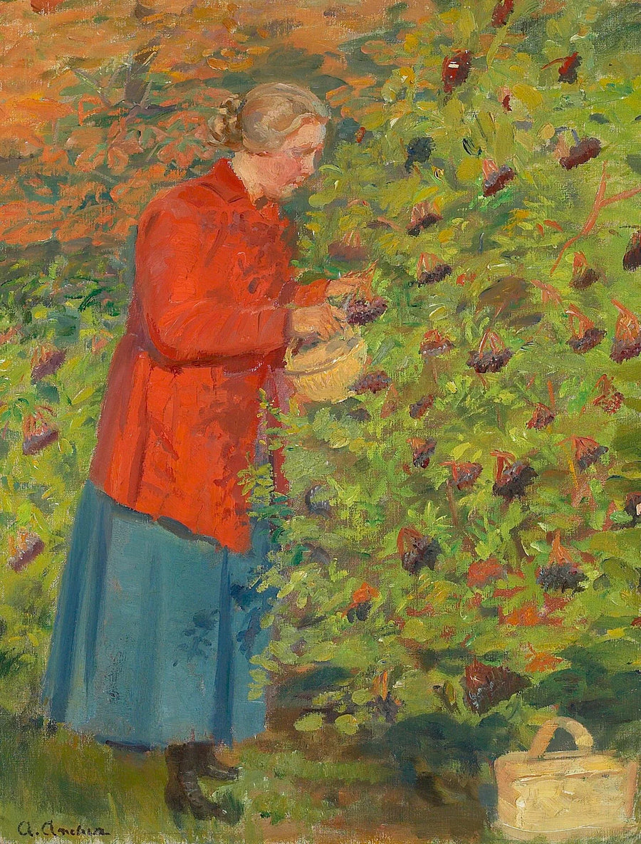 Helga Ancher plockar fläderbär. - Anna Ancher