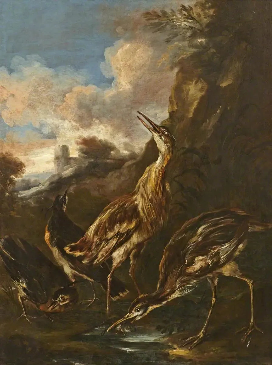 Hökar och änder - Melchior de Hondecoeter