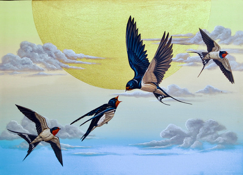 Svala i Himlen  | 70 x 50 cm