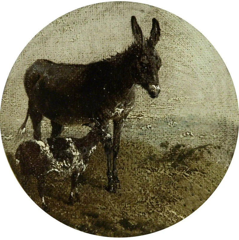 Åtta cirkulära bondscener: åsna och get - John Frederick Herring, Sr.