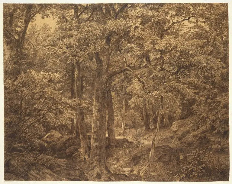 Skogsinre: William Trost Richards