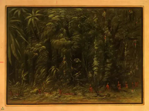 Interiör av en amazonasregnskog - Zurumati - George Catlin