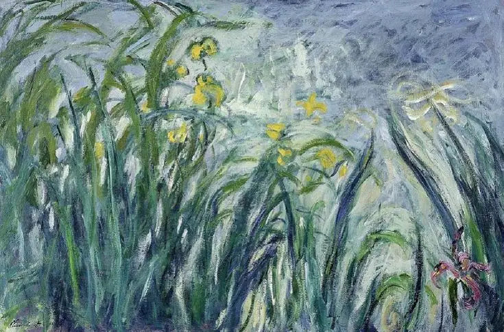 Gula och lila iris - Claude Monet