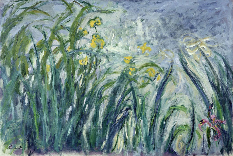 Gula och lila iris - Claude Monet