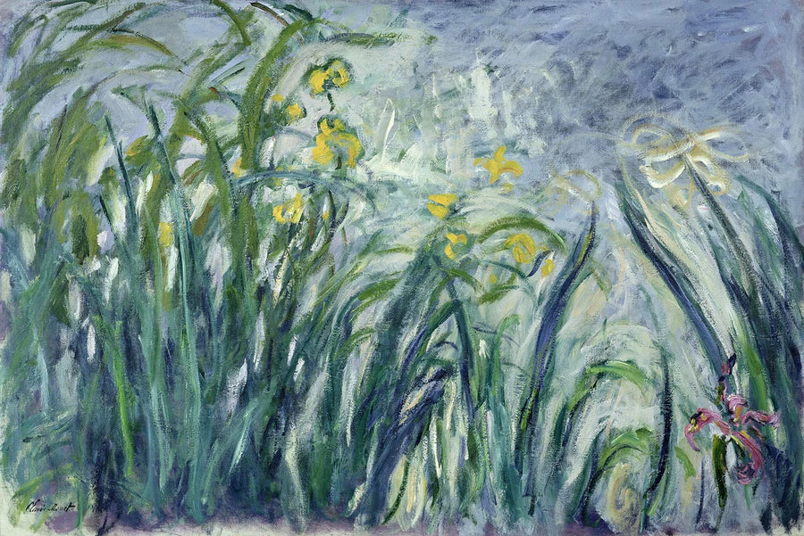 Gula och lila iris - Claude Monet