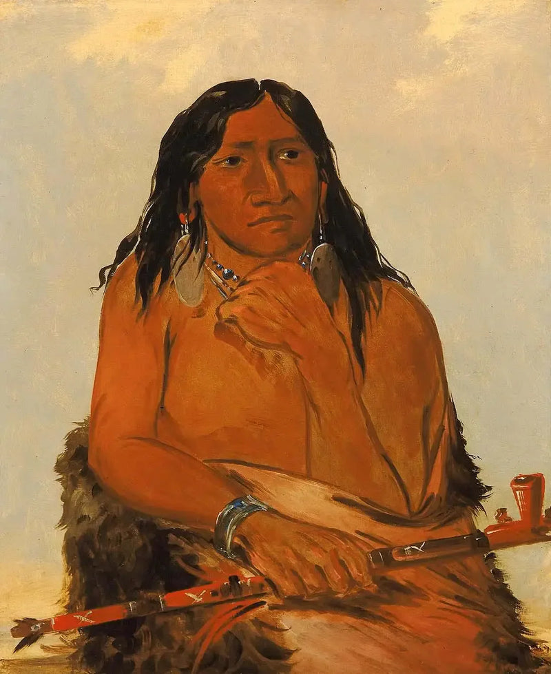 Is-sa-wáh-tám-ah, varg med hår, en chef - George Catlin