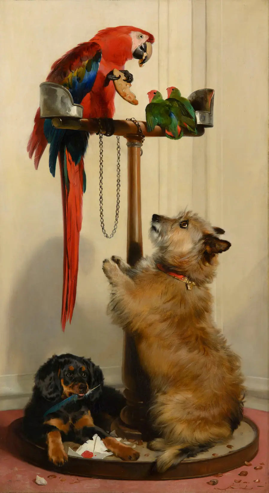 Islay Tilco un ara et deux inséparables - Edwin Henry Landseer - Alpha Reproduction