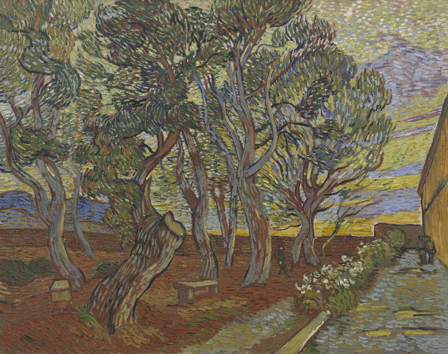 Trädgården vid asylet - Vincent van Gogh
