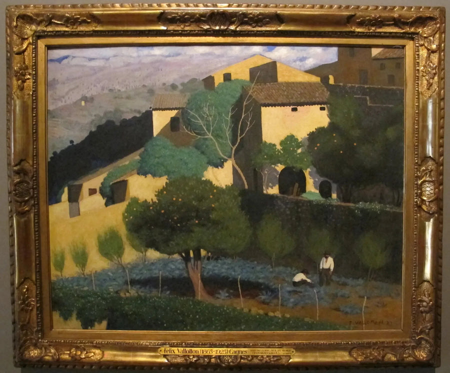 Citrusträdgård i Cagnes - Félix Vallotton