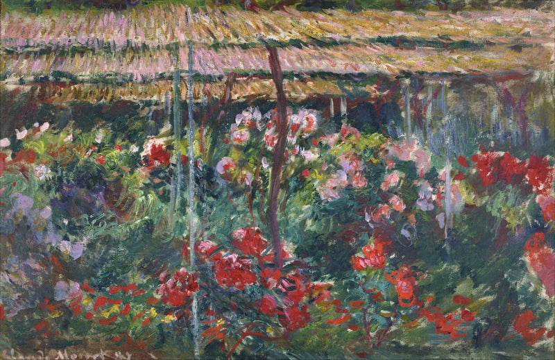 Pionträdgård W1140 - Claude Monet