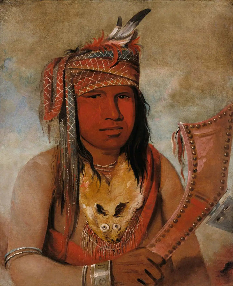 Jag är något Dick, en hane Caribou, en hederlig - George Catlin