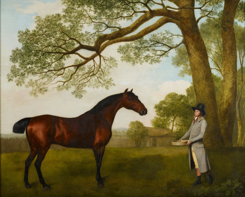 John Gascoigne med en brun häst - George Stubbs