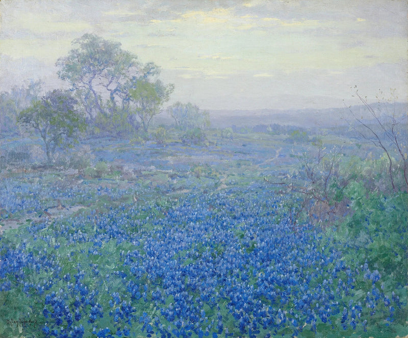 Molnig dag, blå lupiner nära San Antonio, Texas - Julian Onderdonk