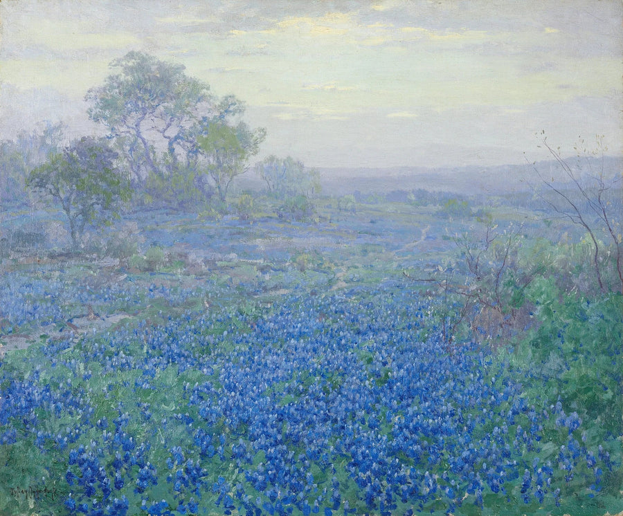 Molnig dag, blå lupiner nära San Antonio, Texas - Julian Onderdonk