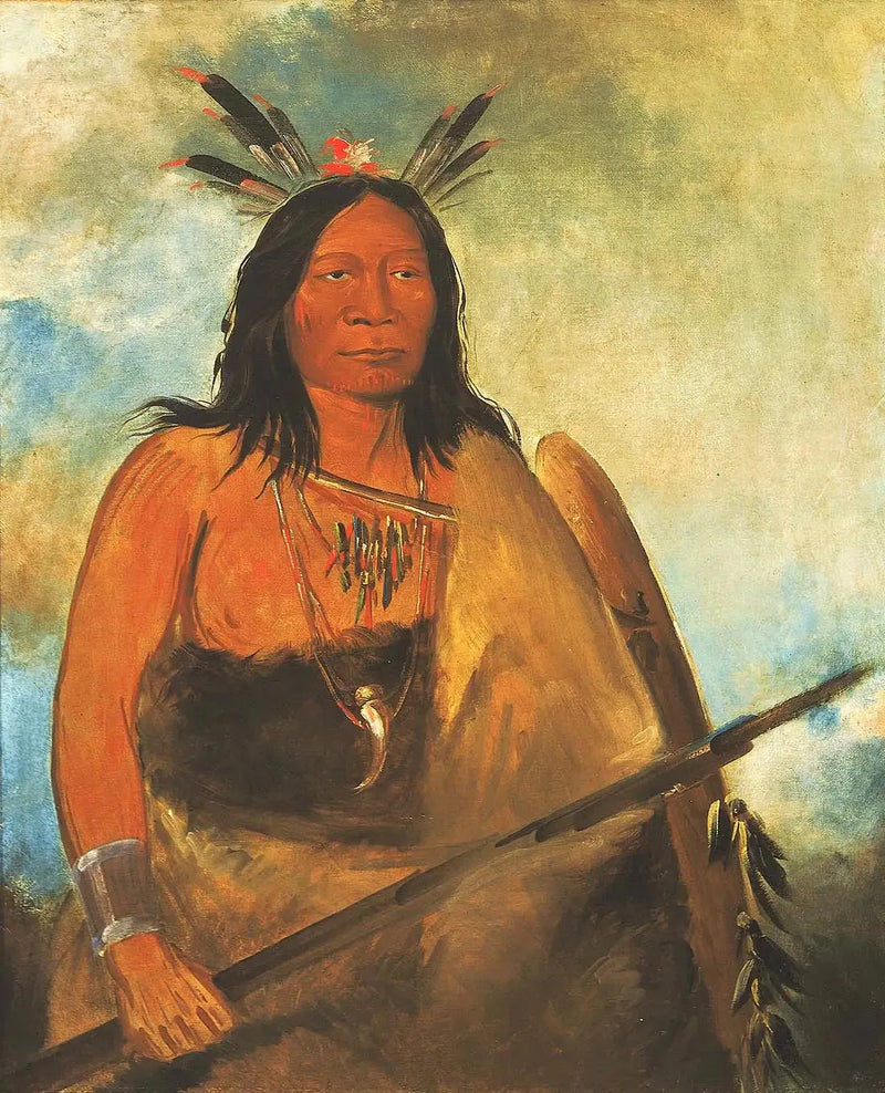 Kots-o-kó-ro-kó, Nackhår på tjur, en mästare - George Catlin