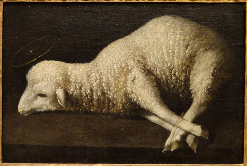Guds lamm - Francisco de Zurbarán